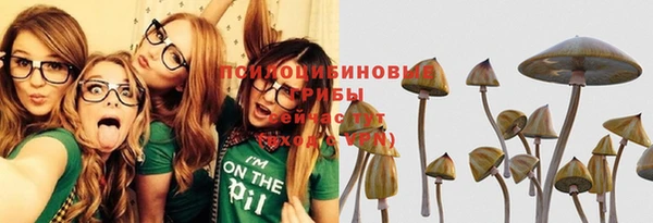 каннабис Майский