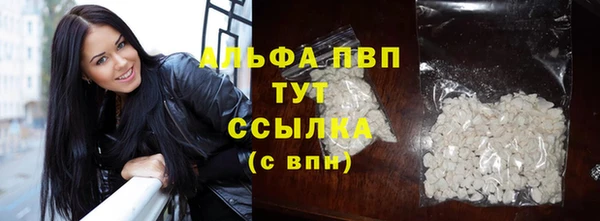 прущие крисы Магадан