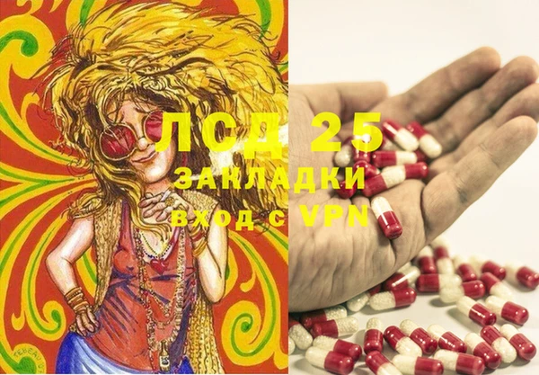каннабис Майский