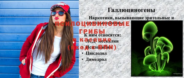 прущие крисы Магас
