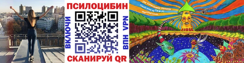 Галлюциногенные грибы прущие грибы  KRAKEN   Михайловск 