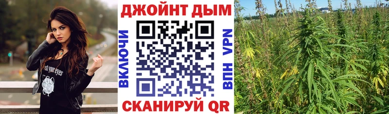 Марихуана конопля  Михайловск 